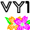 VY1